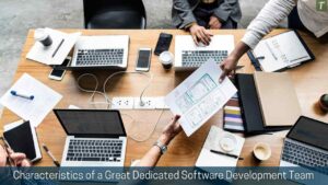 Characteristics of a Great Dedicated Software Development Team