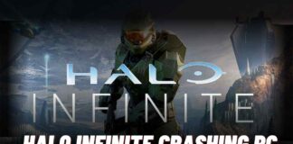 Halo Infinite Crashing PC