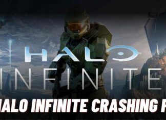 Halo Infinite Crashing PC