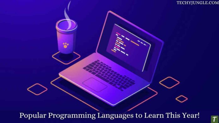 Popular Programming Languages to Learn This Year