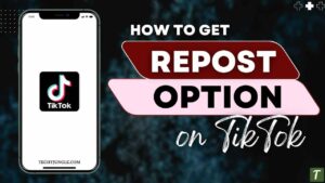 Repost Option on TikTok