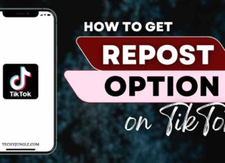 Repost Option on TikTok