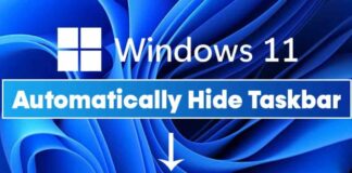hide taskbar in windows 11