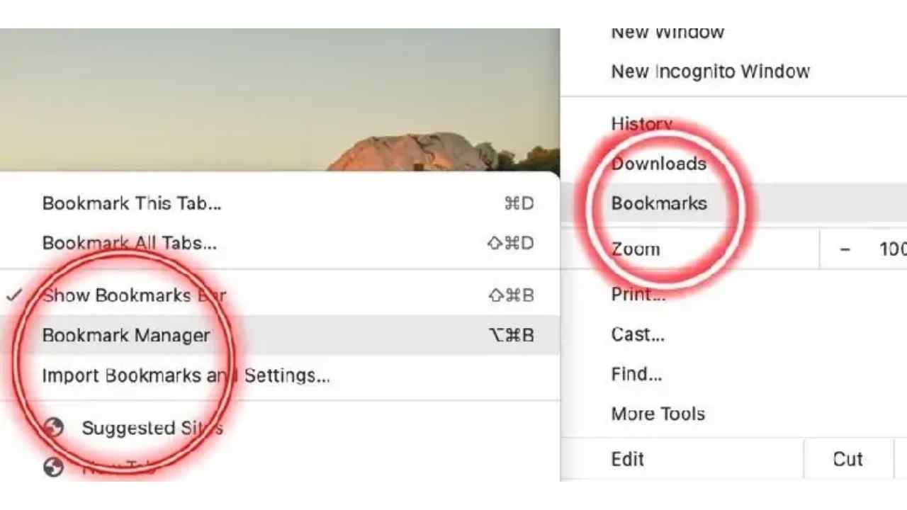 remove book on mac chrome