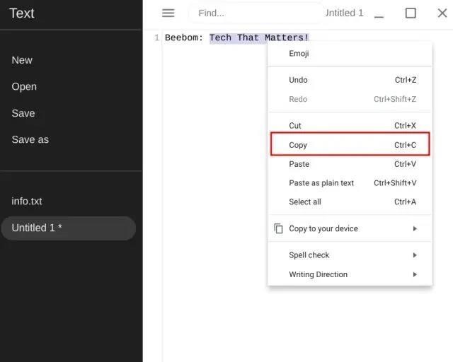 How to Copy and Paste on Chromebook (Easy Steps!) – Techy Jungle