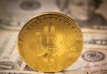 What Differences Make Bitcoin the Most Valuable Cryptocurrency