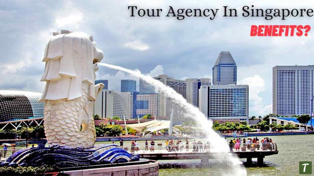 tour agency in singapore