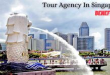 Benefits of Using a Tour Agency In Singapore