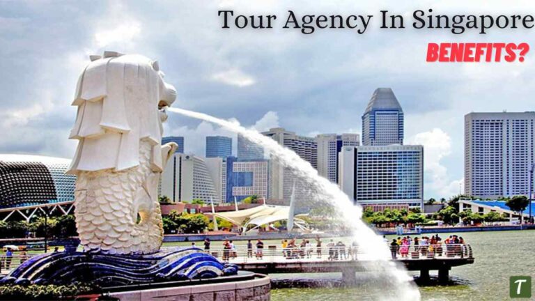 Benefits of Using a Tour Agency In Singapore