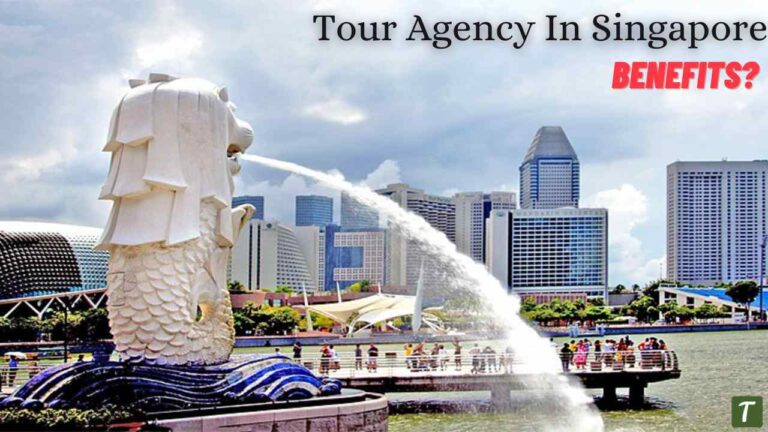 tour agency singapore china