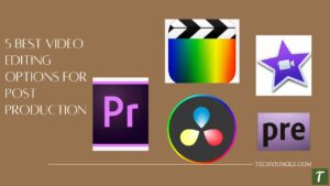 Best Video Editing Options for Post Production