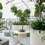 indoor garden benefits